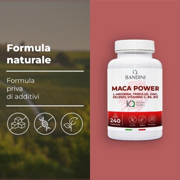 Maca Power 240 cápsulas - Energía y Vitalidad - Imagen 2