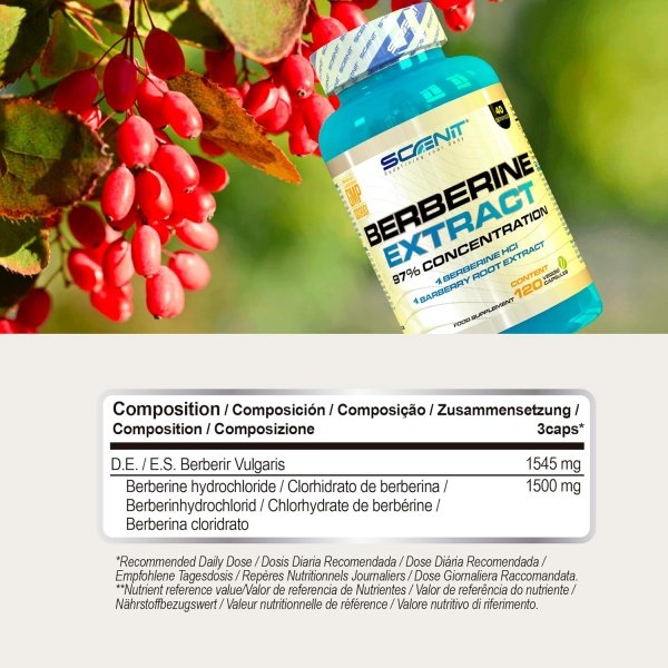 Berberina 97% pura – Alta potencia - Imagen 3