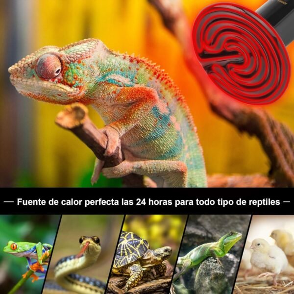 Lámpara de calor cerámica para reptiles - Imagen 4